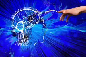Neuroscienze - Mya Studio